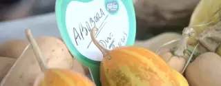 Feira Farta na Guarda